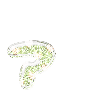 127