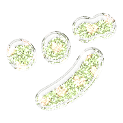 148