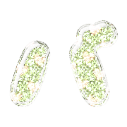 151