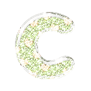 164