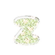 213