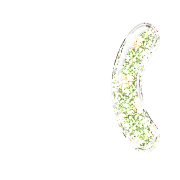234