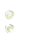 244