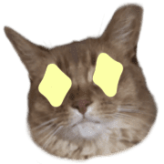 003