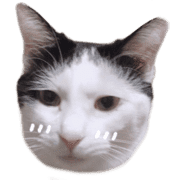 005