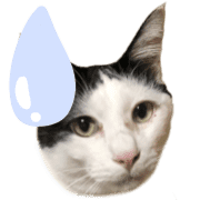 017