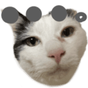 031