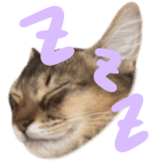 038