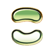 010