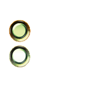 244