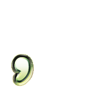245