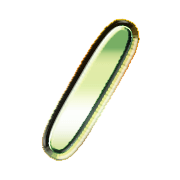 247