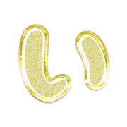 002