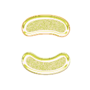 010