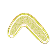 029