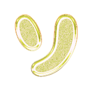 095