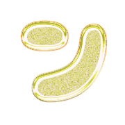 126