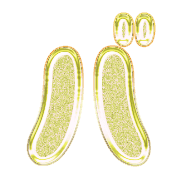 151