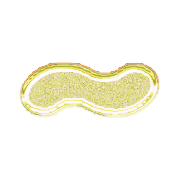 224