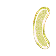 234