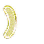 235