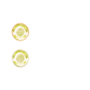 244