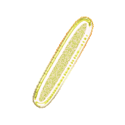 247