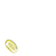 256