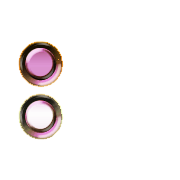 244