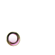 246