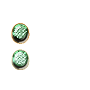 244