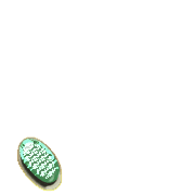 256