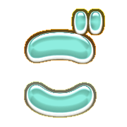 060