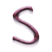 019