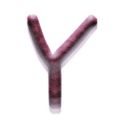 025
