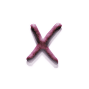 050