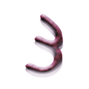 055