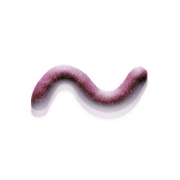 063