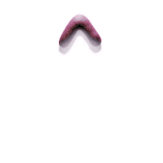 070