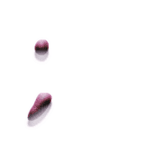 082