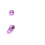 082