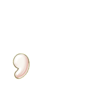 245