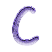 003