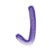010