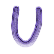 021