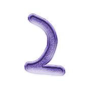 054