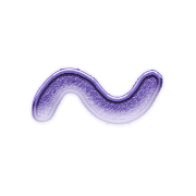 063