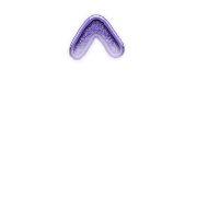070