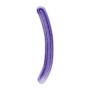 074