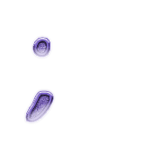 082